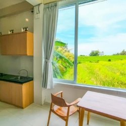 Rice field view terrace at Alit Tanah Lot house rental