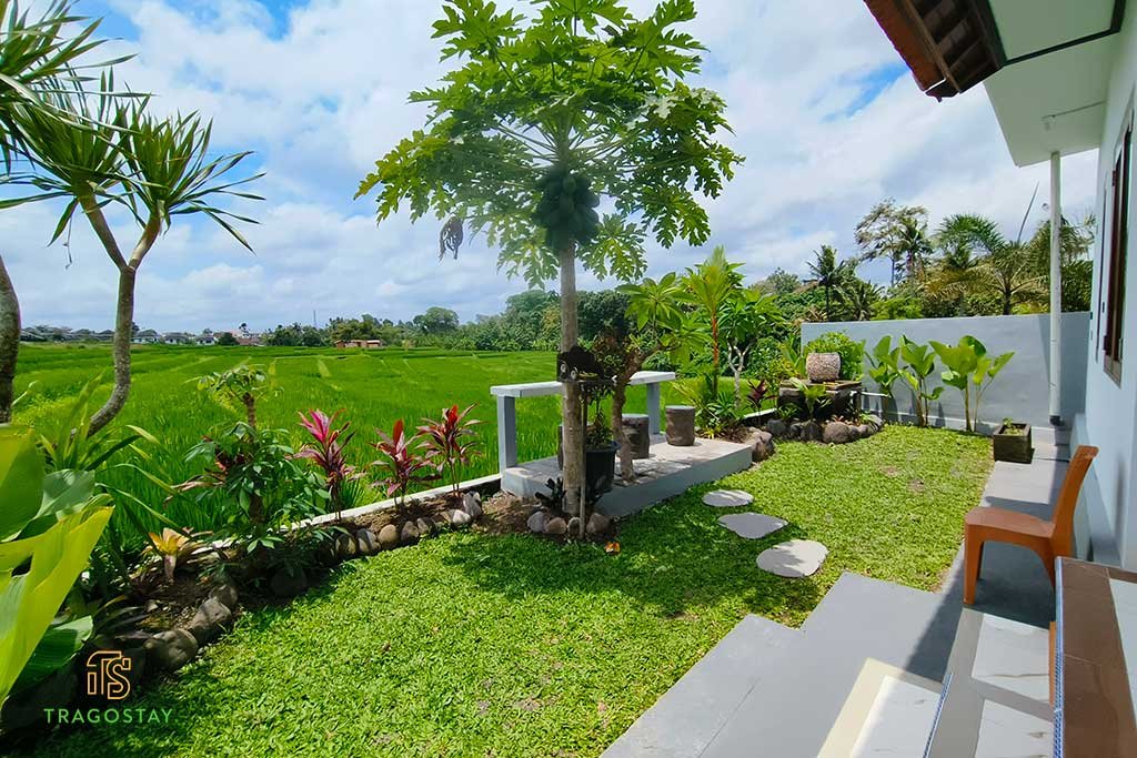 Bali house rentals for long term stay