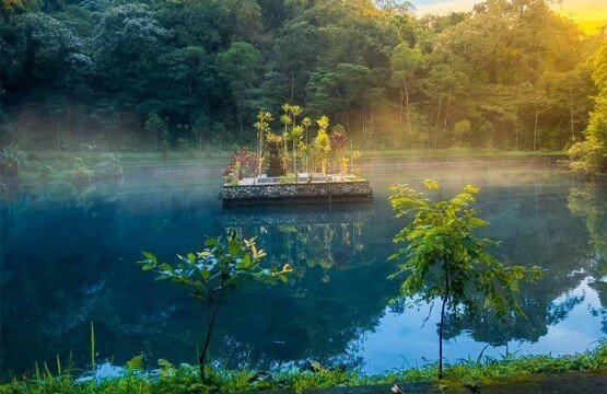 A large sacred fish pond surrounded by lush greenery and misty mountain air at Pura Luhur Batukaru.