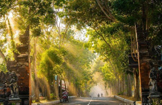 Quiet road access through the lush forest of Alas Kedaton Monkey Forest Bali.