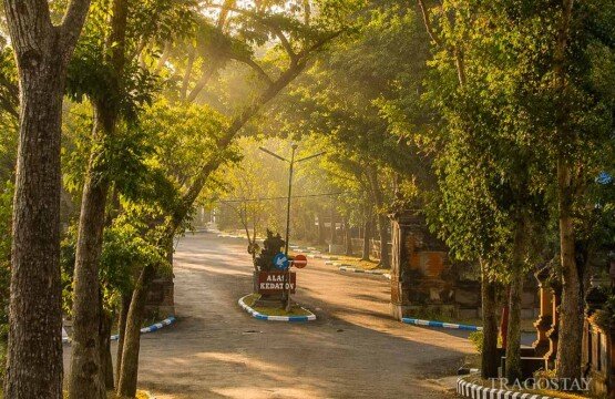 Spacious entrance and parking access at Alas Kedaton Monkey Forest for visitors.