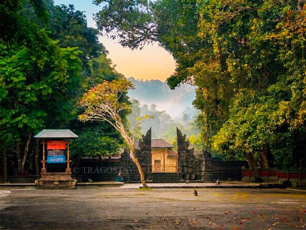 The sacred Hindu temple within Alas Kedaton Monkey Forest, a top Bali place to visit.