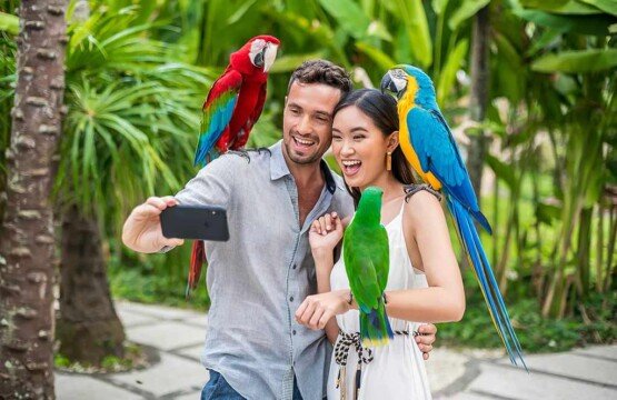 Educational travelers experience at Bali Bird Park featuring the Bali Starling conservation.