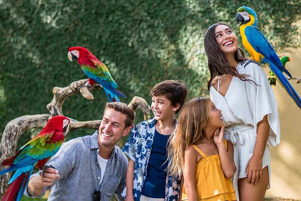 Family vacation memories at Bali Bird Park, a premier Bali tourist destination in Gianyar.