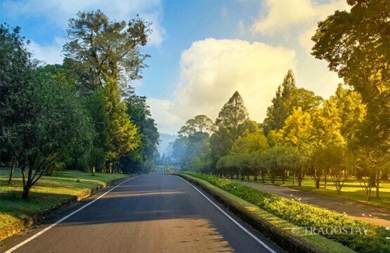 Beautiful paved road access to the center of Bali Botanical Garden in Bedugul.