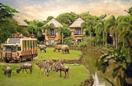 Mara River Safari Lodge at Bali Safari and Marine Park with views of the savanna.