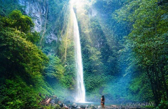 Beautiful green nature and mossy cliffs surrounding Blahmantung Waterfall in Tabanan.