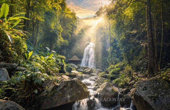 Blahmantung Waterfall hidden deep within a fertile Balinese rainforest.