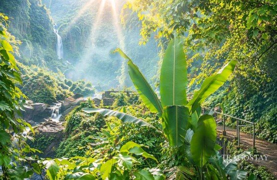 The majestic Raja Pala Waterfall, a primary cascade within the Blahmantung complex.