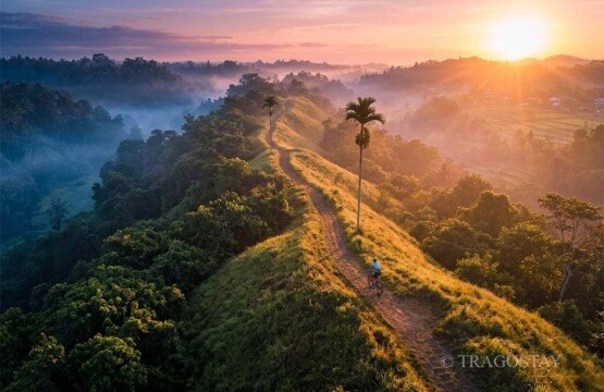 Exciting cycling adventure through the scenic Campuhan Ridge Walk Ubud.