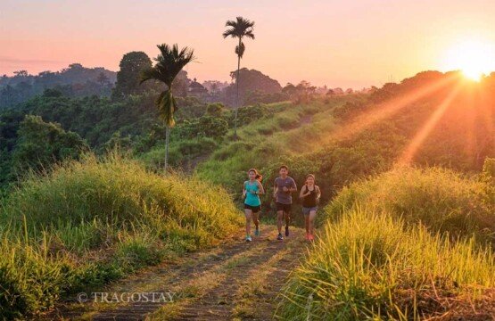 A popular jogging trek at Campuhan Ridge Walk Ubud for fitness enthusiasts.