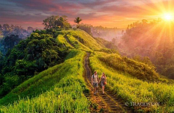 Sunrise trekking adventure at Campuhan Ridge Walk for a peaceful nature experience.