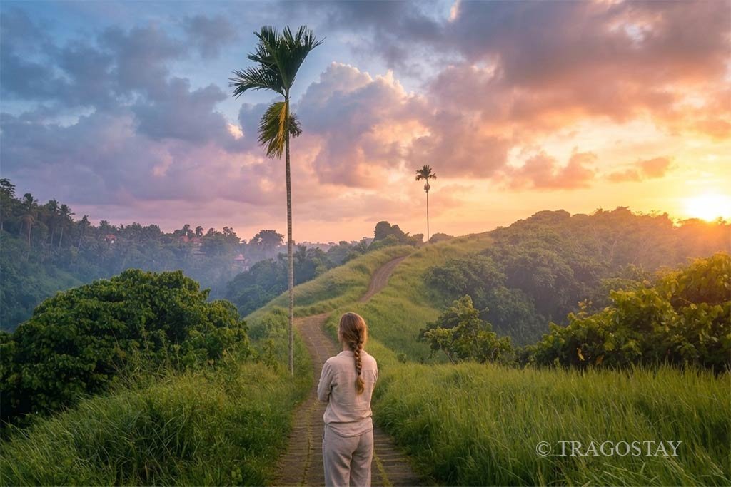 Enjoy a beautiful sunrise at Campuhan Ridge Walk Ubud with a misty morning glow.