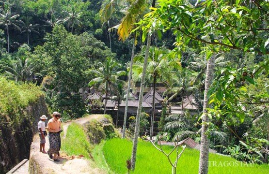 Gunung Kawi Temple access path with steep stone stairs at famous tourist destinations.