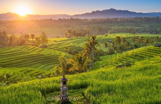 An expansive overview of the Jatiluwih Rice Terrace UNESCO World Heritage Site.