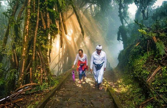 The scenic hiking track and forest path leading up the mountain at Lempuyang Temple.