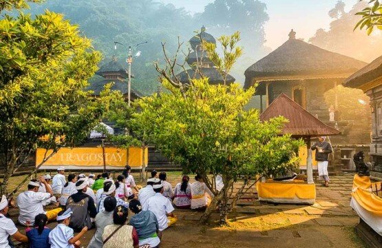 Lush fertile tropical jungle and green forests surrounding the sacred Lempuyang Temple area.