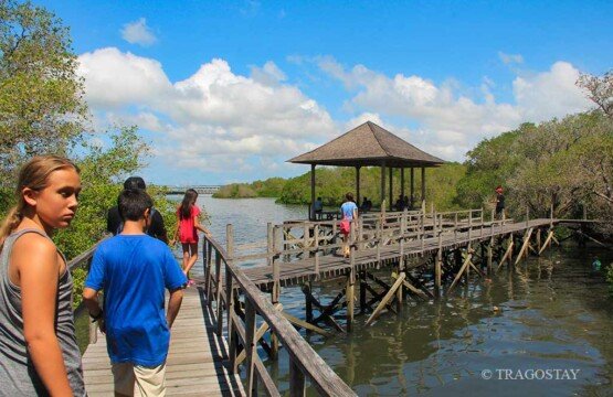Traditional Ngurah Rai Mangrove Forest bale on the sea for ocean views.