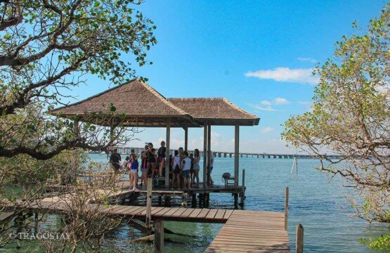 Ngurah Rai Mangrove Forest resting bale at one of the top Bali places to visit for nature lovers.