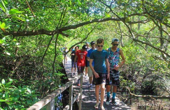 Ngurah Rai Mangrove Forest international student visit for environmental education in Bali.