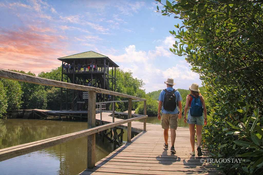 High wooden Ngurah Rai Mangrove Forest tower at popular Bali tourist attractions.