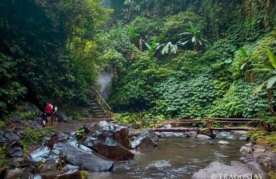 Traditional Nungnung Waterfall bamboo bridge to access the waterfall across the river.