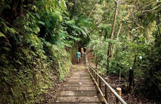 Steep Nungnung Waterfall cemented stairs for trekking and Bali nature activities.
