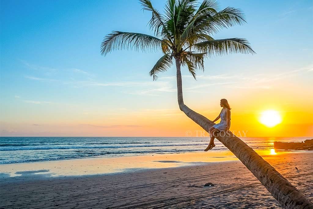 A woman sitting on the famous leaning palm tree while enjoying a spectacular sunset at Pasut Beach Bali.