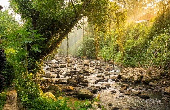 A beautiful river landscape at Penatahan Hot Springs, a top place to visit in Tabanan.