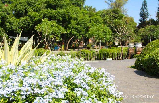 Vibrant tropical flowers at Puputan Badung Square, a must-see for Bali places to visit.