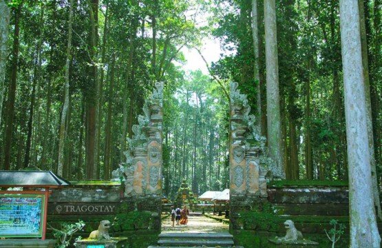 Sangeh Monkey Forest entrance gate featuring traditional Balinese stone carvings.