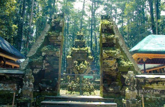 Pura Bukit Sari main temple of Sangeh Monkey Forest famous tourist destinations