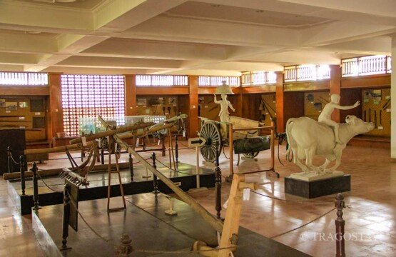 A collection of traditional Balinese farm gear used for rice cultivation.