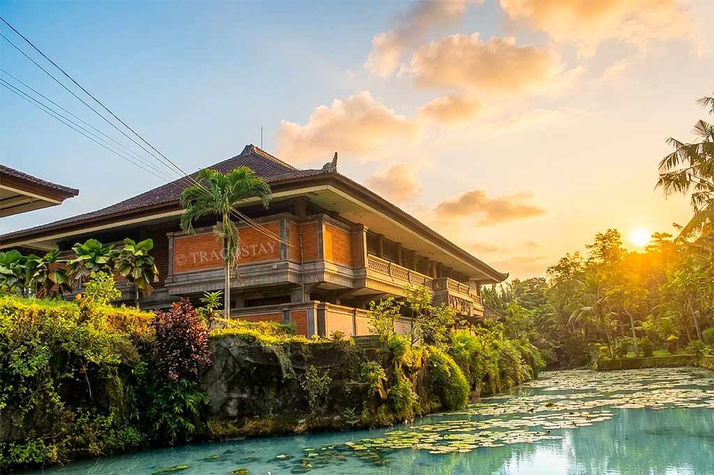 A serene fish pond within the grounds of the Subak Museum in Tabanan.