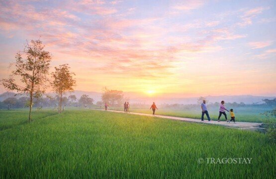 Sunrise jogging adventure at Subak Sembung Eco-Tourism for health enthusiasts.