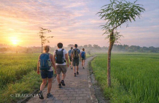 Sunrise trekking experience at Subak Sembung Eco-Tourism Bali nature border.