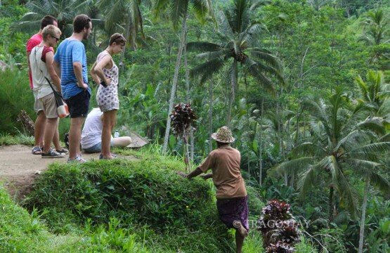 Experience a local farmer meeting and traditional agriculture at Tegalalang Rice Terrace Ubud.
