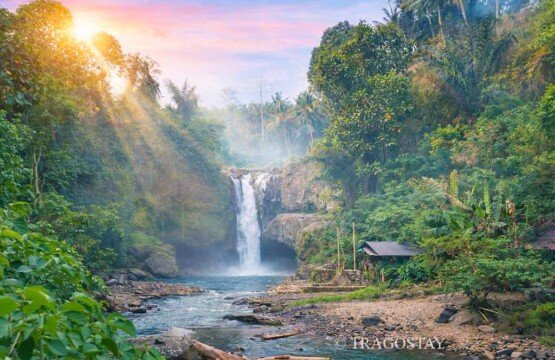 Beautiful morning vibes of Tegenungan Waterfall with lush greenery and low mist.