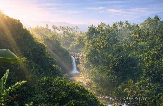 Tegenungan Waterfall surrounded by dense tropical forest in the Gianyar regency.