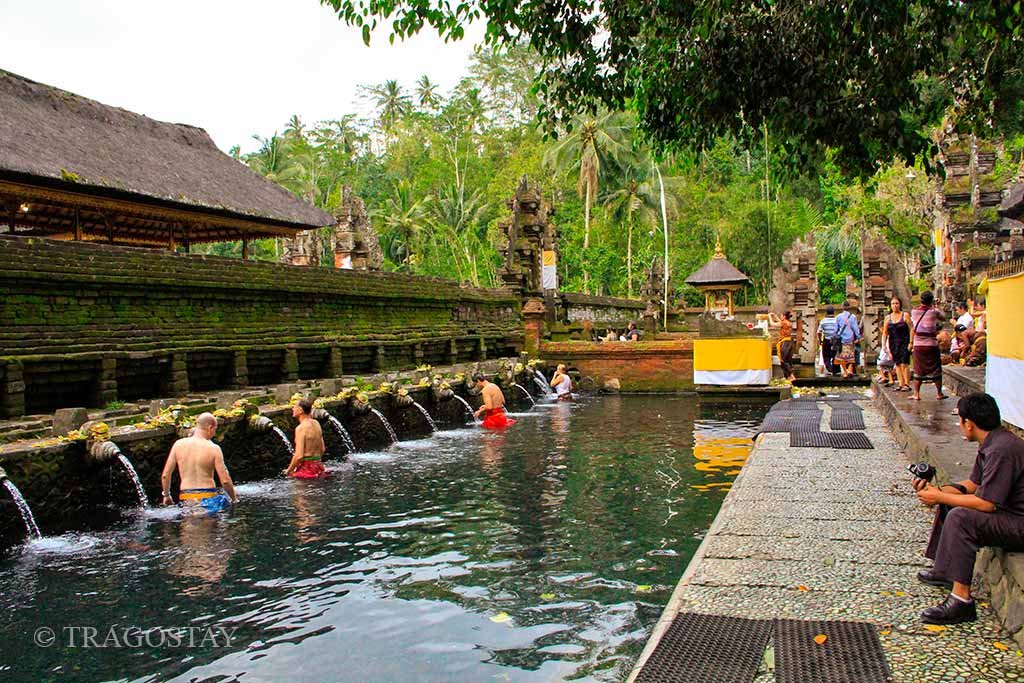 Purification pool with holy water fountains at Tirta Empul Temple for Melukat rituals.