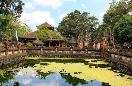The crystal-clear holy spring pool at Tirta Empul Temple in Tampak Siring Bali.