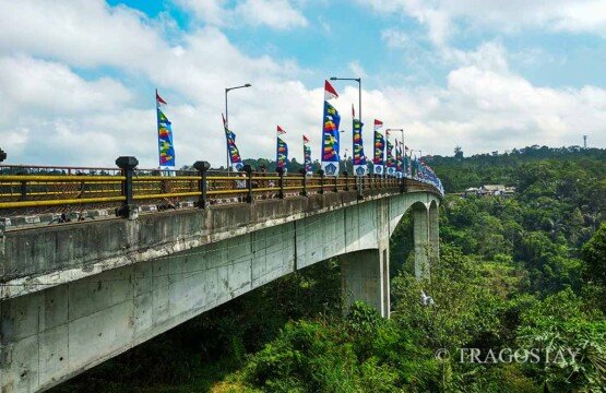 Tukad Bangkung Bridge day time view highlighting the tall pillars and engineering.