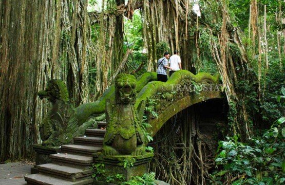Beautiful dragon bridge in Monkey Forest Sanctuary Ubud surrounded by ancient Banyan tree roots.