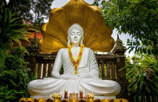 A Buddha statue shielded by a multi-headed snake at Vihara Dharma Giri.