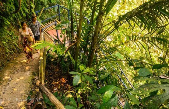 A challenging and scenic stone pathway access to Yeh Hoo Waterfall Bali.