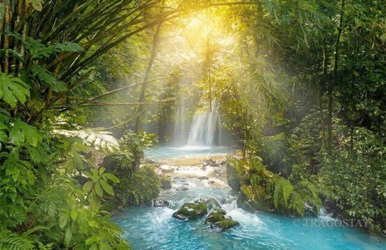 Lush bamboo forest surrounding the secluded Yeh Hoo Waterfall in Bali.