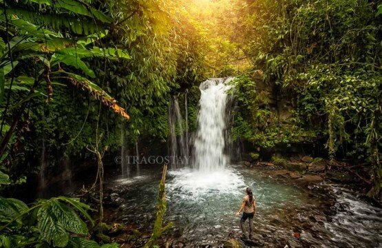 A panoramic overview of Yeh Hoo Waterfall nestled in the Jatiluwih valley.