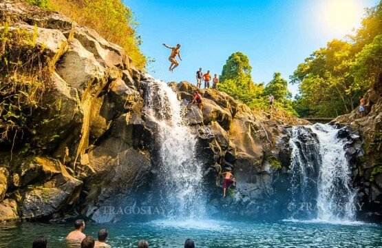 The majestic twin falls of Aling-aling Waterfall rushing into a deep canyon, used by adventure seekers as a thrilling cliff jumping spot.