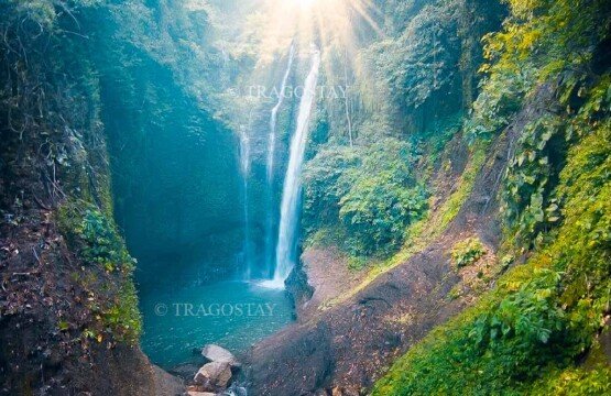 A spectacular high-angle overview of the lush green Aling-aling Waterfall valley and gorge viewed from the edge of a cliffside path.