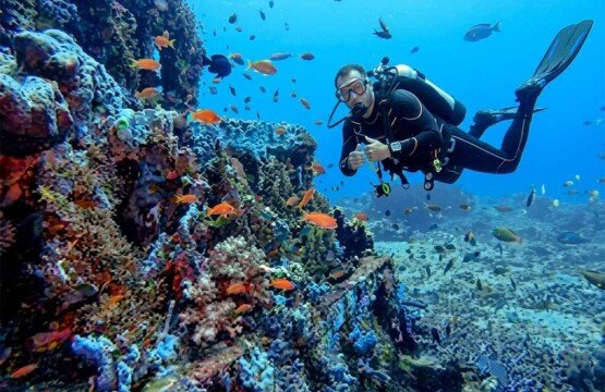 A scuba diver swimming among schools of colorful tropical fish at Amed Beach.